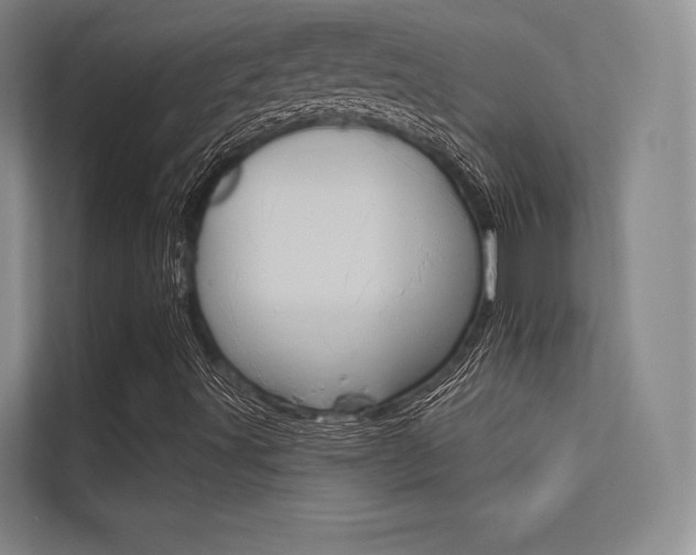 X0000113361491200909150956