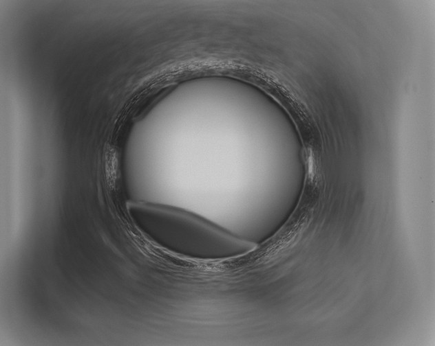 X0000113361492200909150956