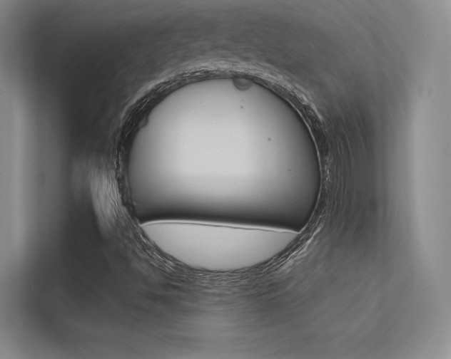 X0000113361494200909150956