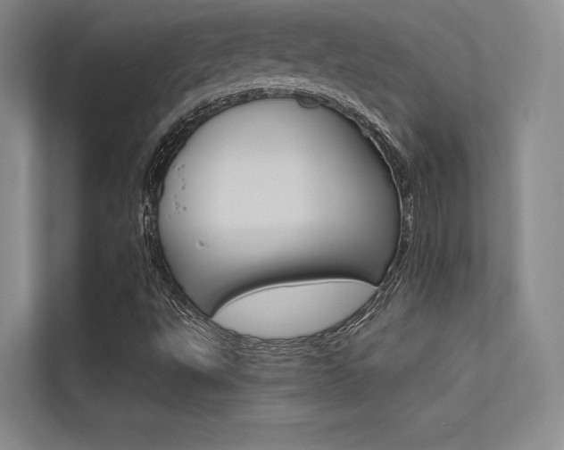 X0000113361495200909150956