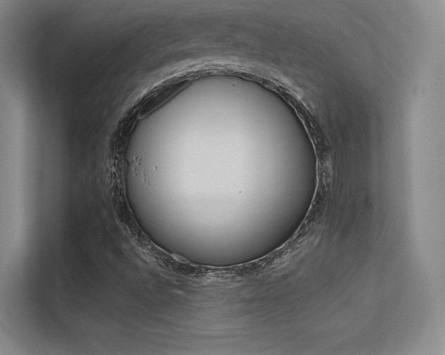 X0000113361496200909150956
