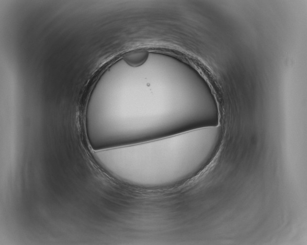 X0000113361497200909150956