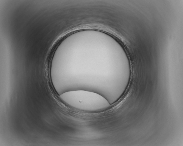 X0000113361498200909150956