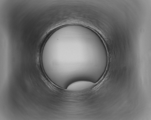 X0000113361499200909150956