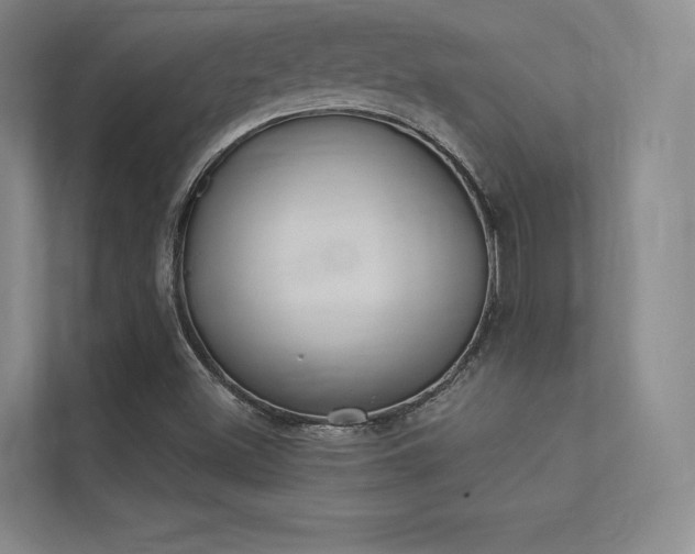 X0000113361500200909150956