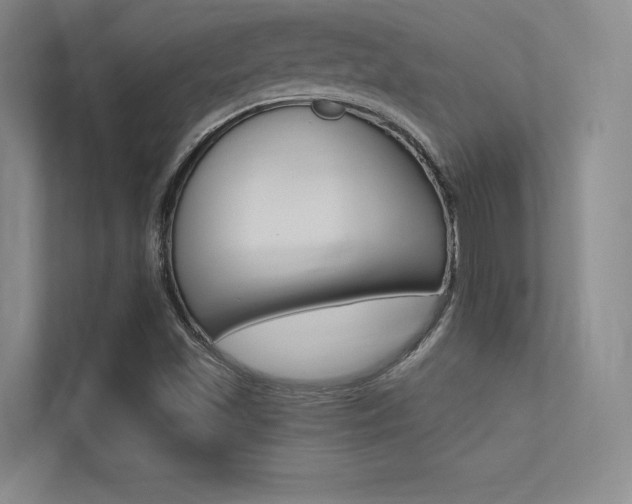X0000113361501200909150956