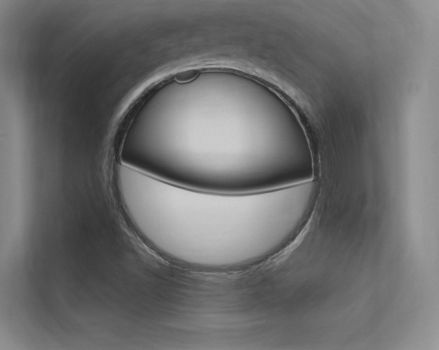 X0000113361502200909150956
