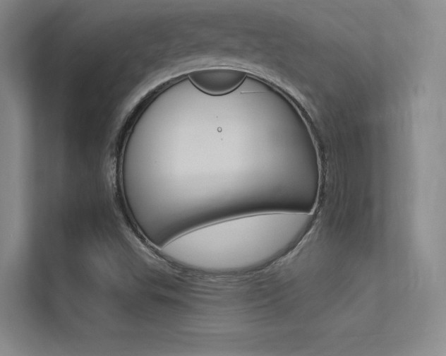 X0000113361503200909150956