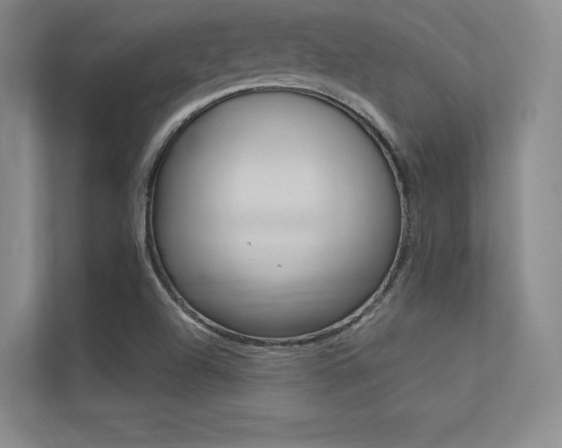 X0000113361504200909150956
