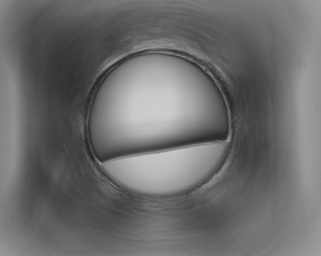 X0000113361505200909150956