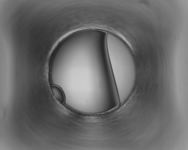 X0000113361508200909150956