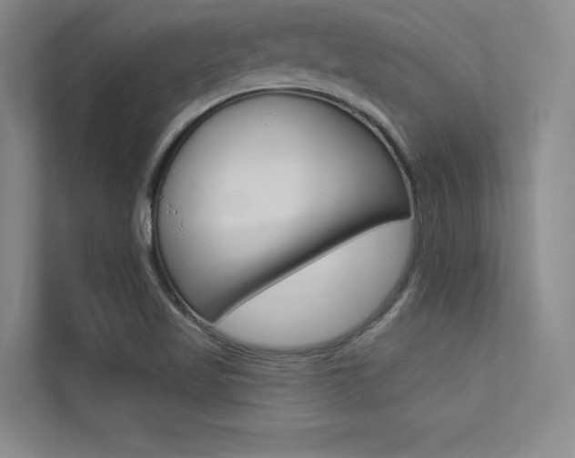 X0000113361509200909150956