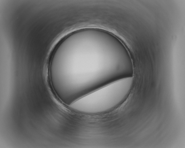 X0000113361511200909150956