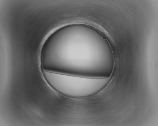 X0000113361512200909150956