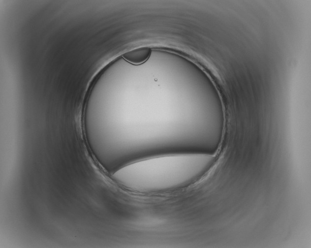 X0000113361513200909150956