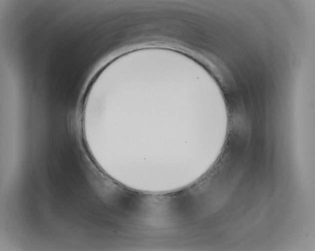 X0000113361514200909150956