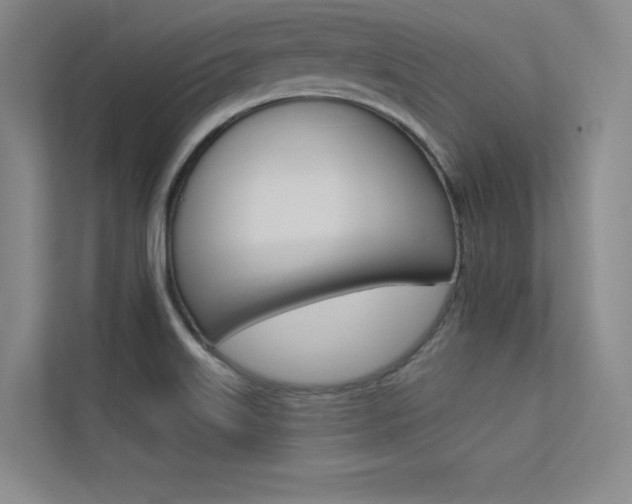 X0000113361515200909150956