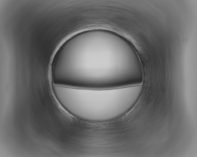 X0000113361516200909150956