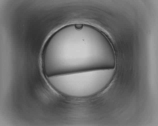 X0000113361517200909150956