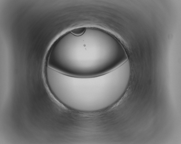 X0000113361518200909150956