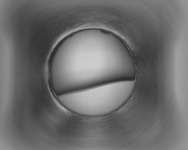 X0000113361519200909150956