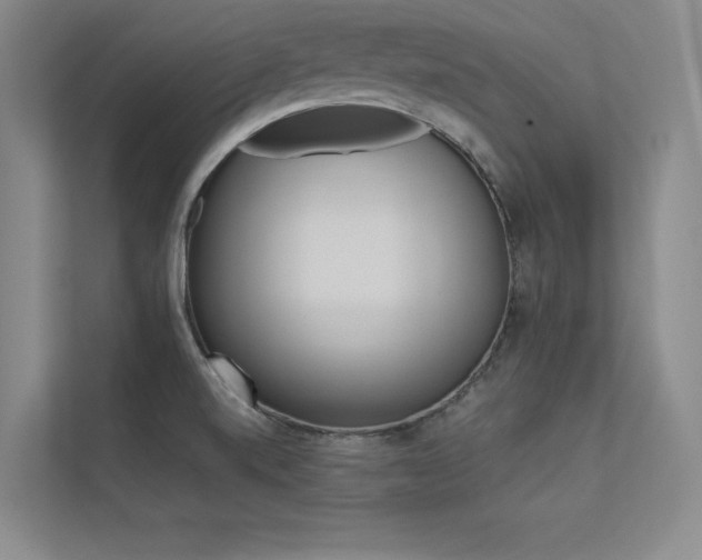 X0000113361520200909150956