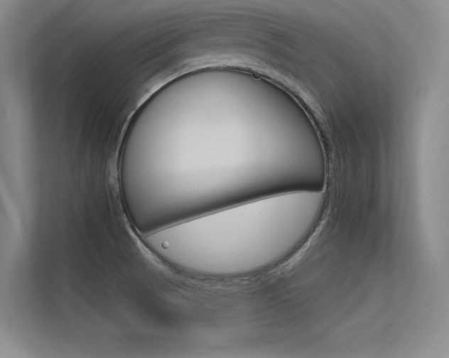 X0000113361521200909150956
