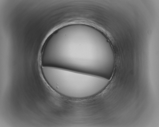 X0000113361522200909150956