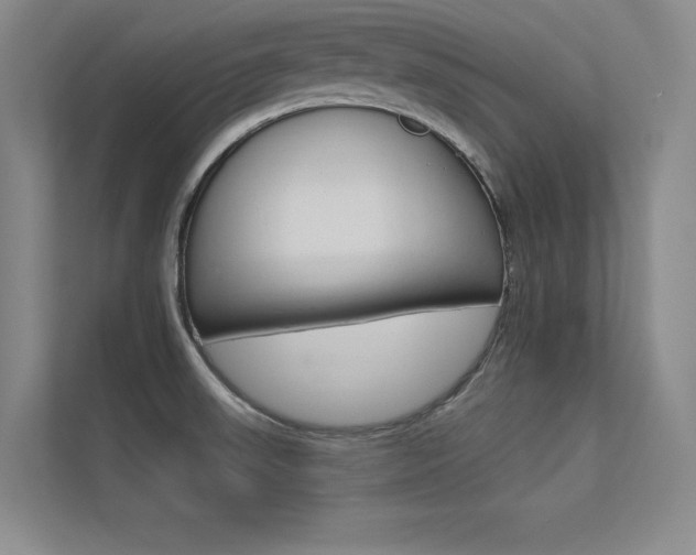 X0000113361523200909150956