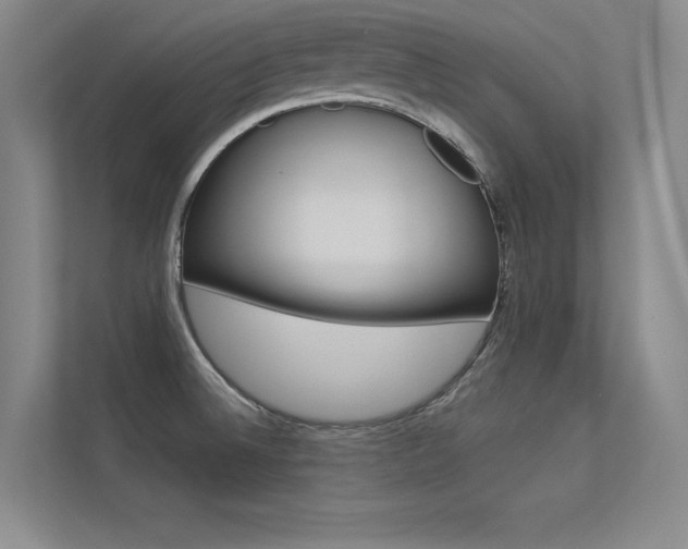 X0000113361524200909150956