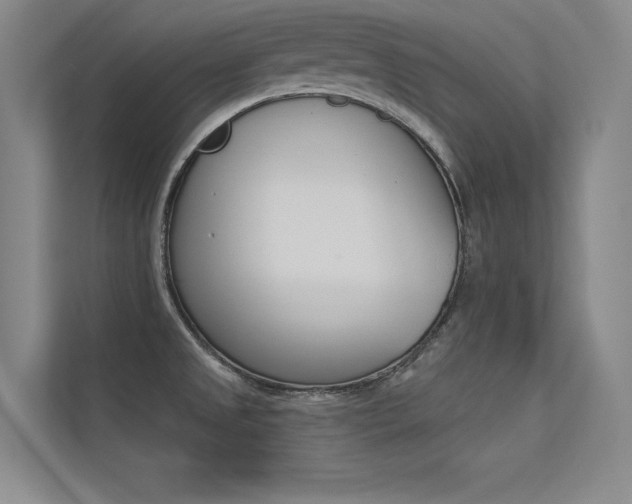 X0000113361525200909150956