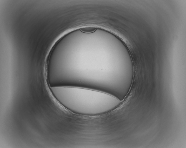X0000113361526200909150956