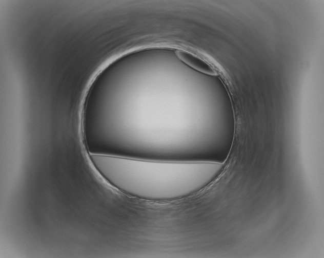 X0000113361528200909150956