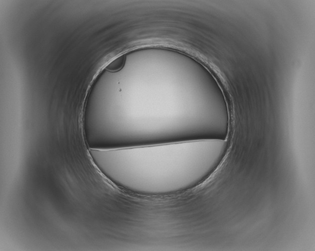 X0000113361529200909150956