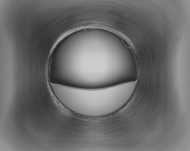 X0000113361530200909150956