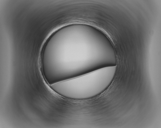 X0000113361531200909150956