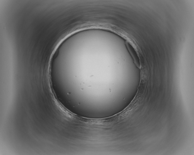 X0000113361532200909150956