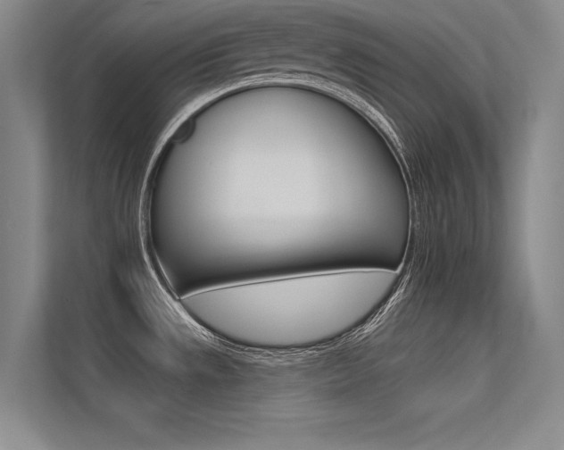 X0000113361533200909150956