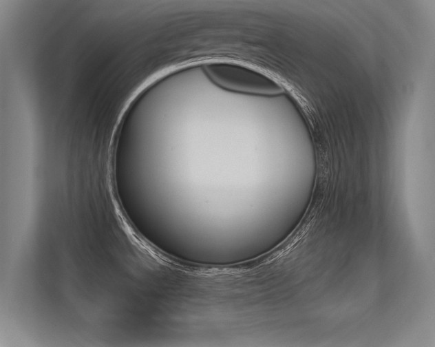 X0000113361534200909150956