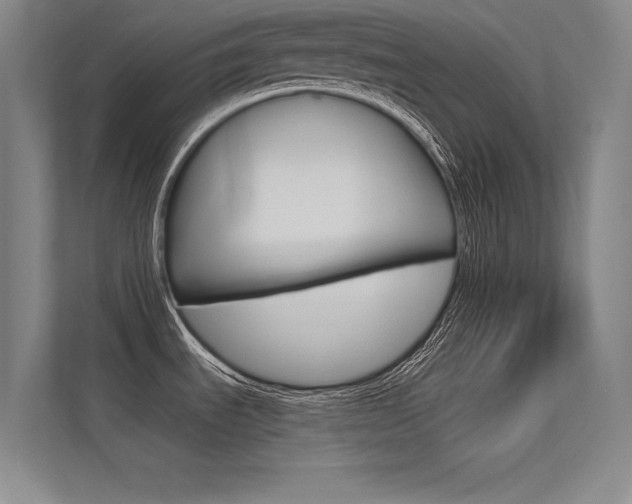 X0000113361535200909150956