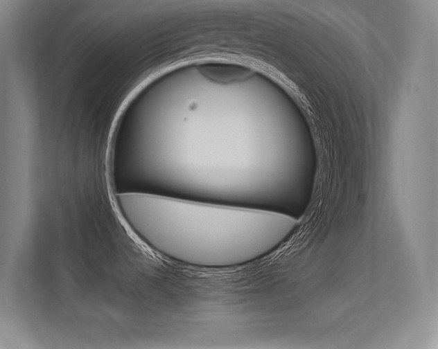 X0000113361536200909150956