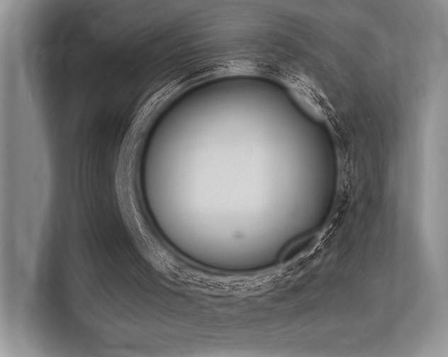 X0000113360001200909151245