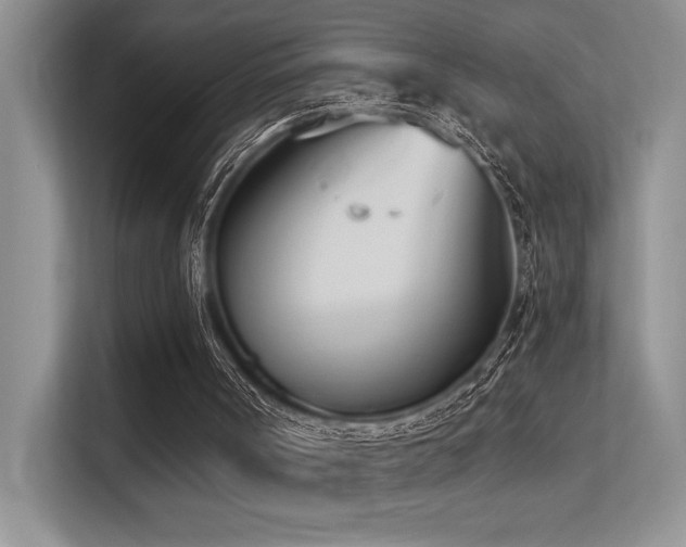 X0000113360002200909151245