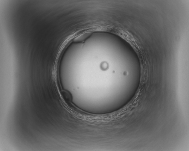 X0000113360003200909151245