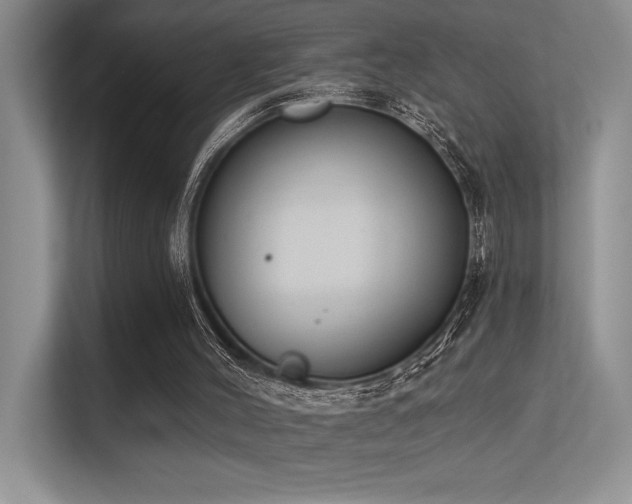 X0000113360004200909151245