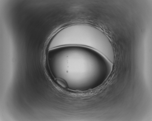 X0000113360005200909151245