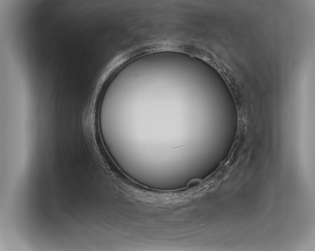 X0000113360006200909151244