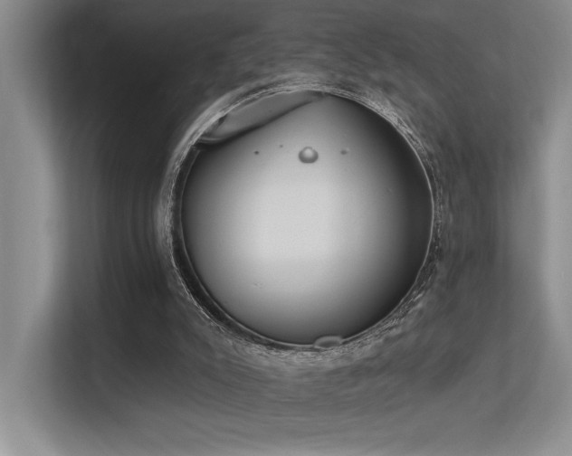 X0000113360007200909151244