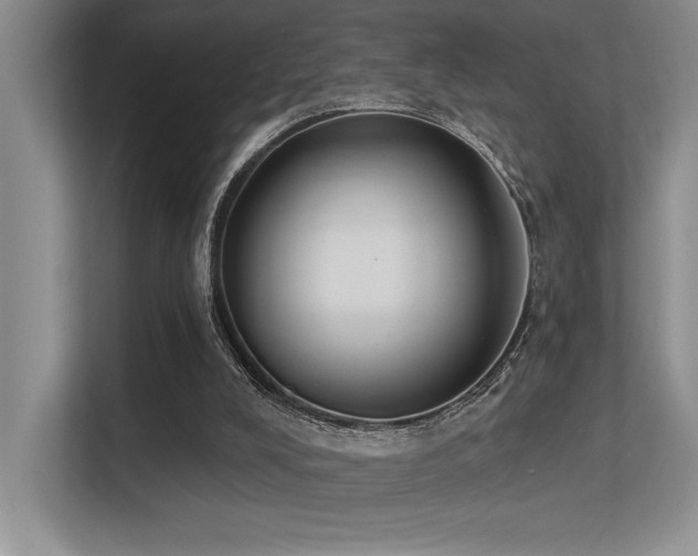 X0000113360008200909151244