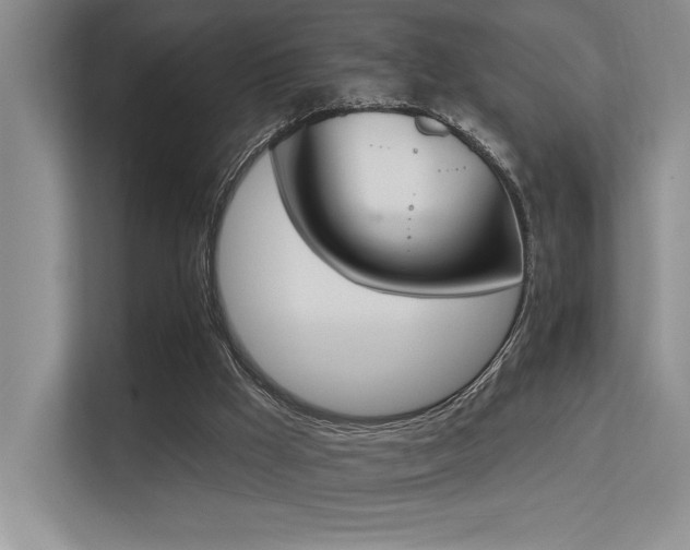 X0000113360009200909151244